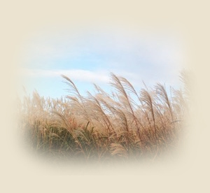 �C���[�W